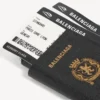 Men’s passport phone holder in black